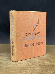 Земное время