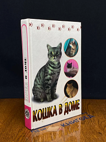 Кошка в доме