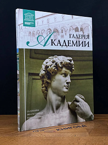 Великие музеи мира. Том 21. Галерея Академии