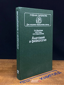Анатомия и физиология