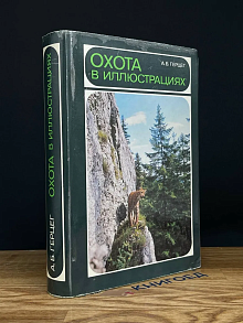 Охота в иллюстрациях