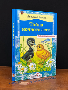 Тайна ночного леса
