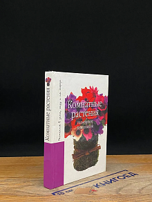 Комнатные растения. Размещение. Композиции
