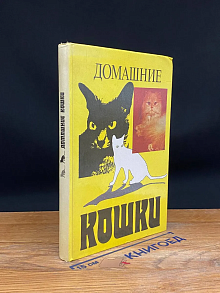 Домашние кошки