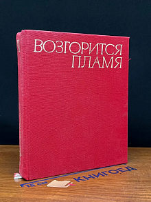 Возгорится пламя. Книга 1