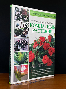 Новейшая энциклопедия. Самые популярные комнатные растения