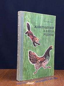 Животный мир нашей Родины