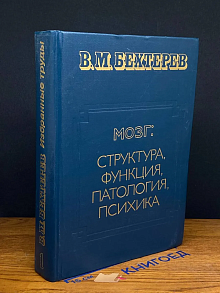 Мозг. Структура, функция, патология, психика. Т. 1
