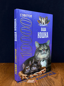 10000 советов. Ваша кошка