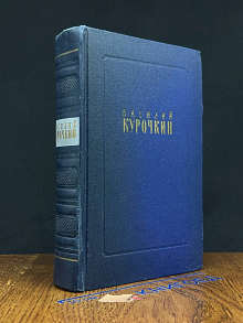Василий Курочкин. Стихотворения. Статьи. Фельетоны