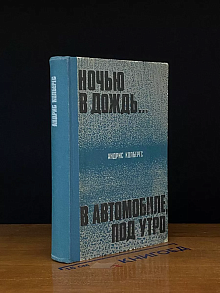 Ночью в дождь... В автомобиле, под утро
