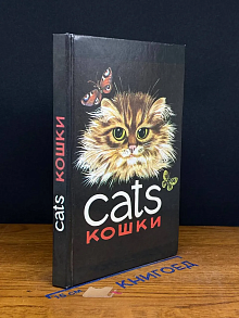 Кошки
