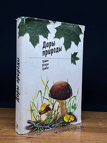 Дары природы. Травы, ягоды, грибы