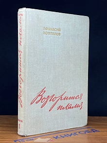 Возгорится пламя. Книга 1
