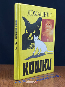 Домашние кошки