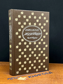 Жозефина. Историческое эссе. Книга 2