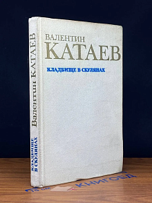 Кладбище в Скулянах