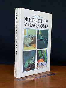 Животные у нас дома