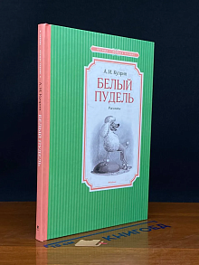 Белый пудель