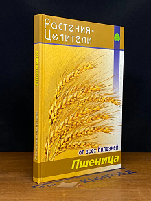 Пшеница