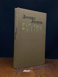 Барсуки