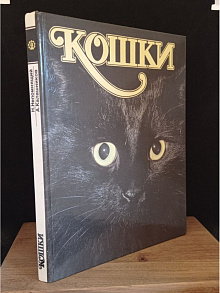 Кошки
