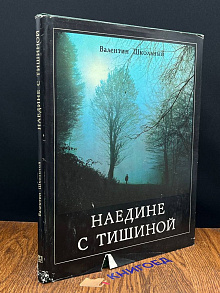 Наедине с тишиной