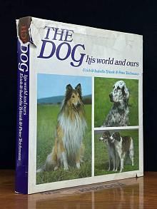 The dog. His world and ours