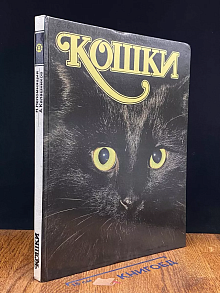 Кошки