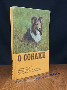 О собаке