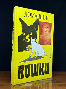 Домашние кошки