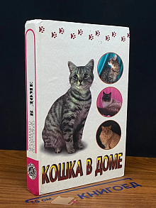 Кошка в доме