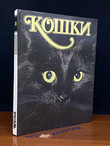 Кошки