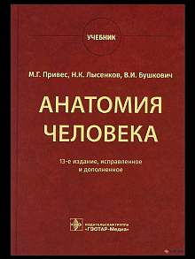 Анатомия человека. Учебник. Привес, Лысенков, Бушкович
