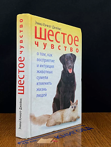 Шестое чувство