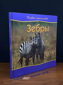 Первое знакомство. Зебры